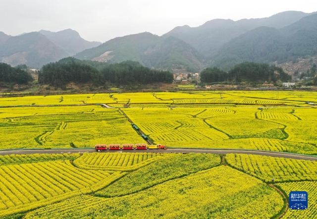 春日到贵州来看“海” yz2wlwbyYWwfx79xjpg