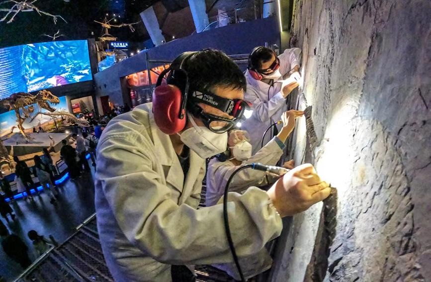 “唤醒”鱼龙 国家海洋博物馆首次公开修复化石全过程 hQ056FgAG996v88ajpg