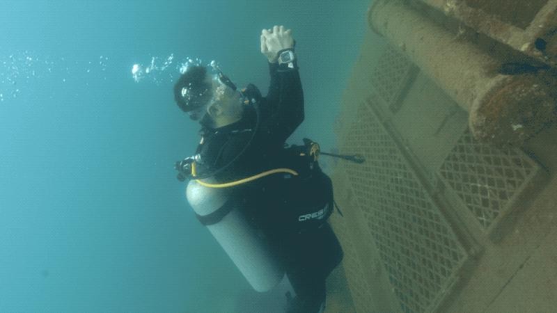 趁着海洋还没被「圈养」之前，我们还能做些什么 goty1BBHoGGP2TyMjpg