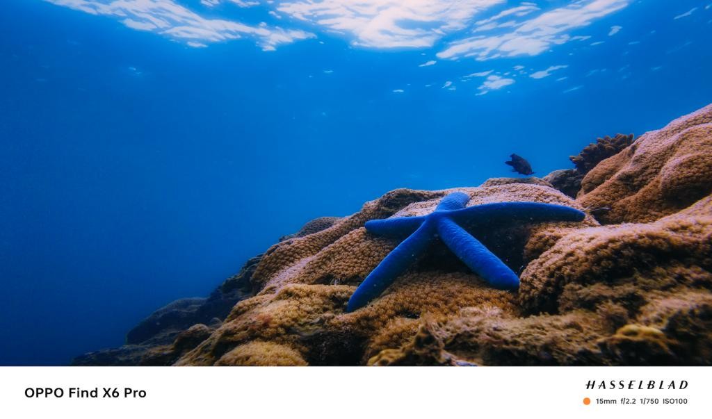 趁着海洋还没被「圈养」之前，我们还能做些什么 Fi556pZp3F55OOFkjpg