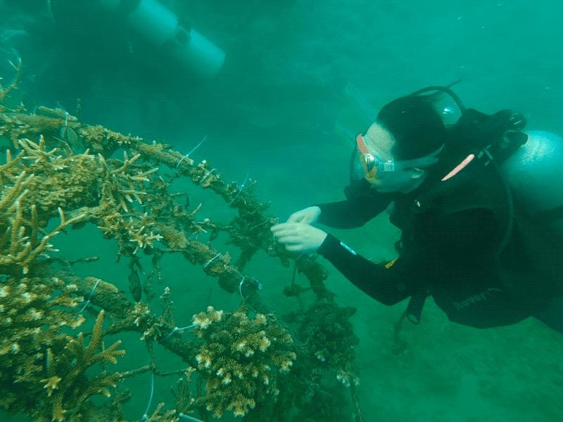 趁着海洋还没被「圈养」之前，我们还能做些什么 dsHA4B1j4ML4H2fjjpg