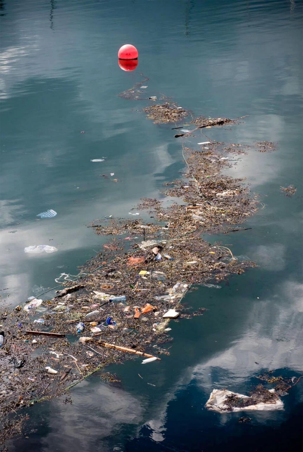 一个坏消息，太平洋这个垃圾堆越来越大了 q1g2g4BFFGLlNBjLjpg