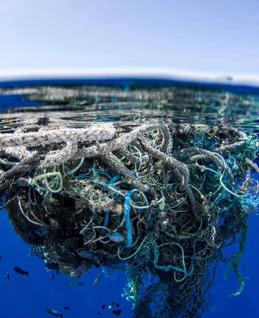 一个坏消息，太平洋这个垃圾堆越来越大了 mAarG8892WWzKW8Gjpg