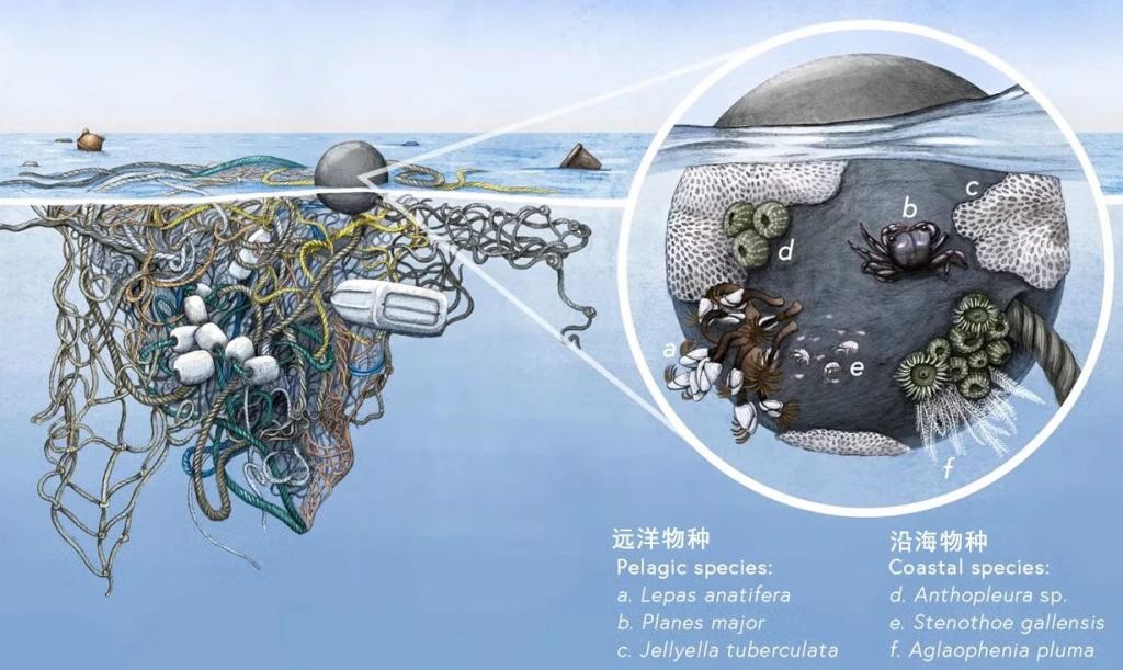 一个坏消息，太平洋这个垃圾堆越来越大了 it9Y5j5LOtt5eJLsjpg