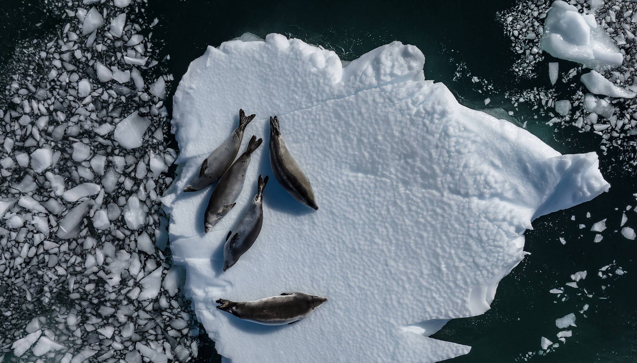 全球气候资讯｜4月全球前沿气候科学研究梳理 WF27770E7787kEb7jpg