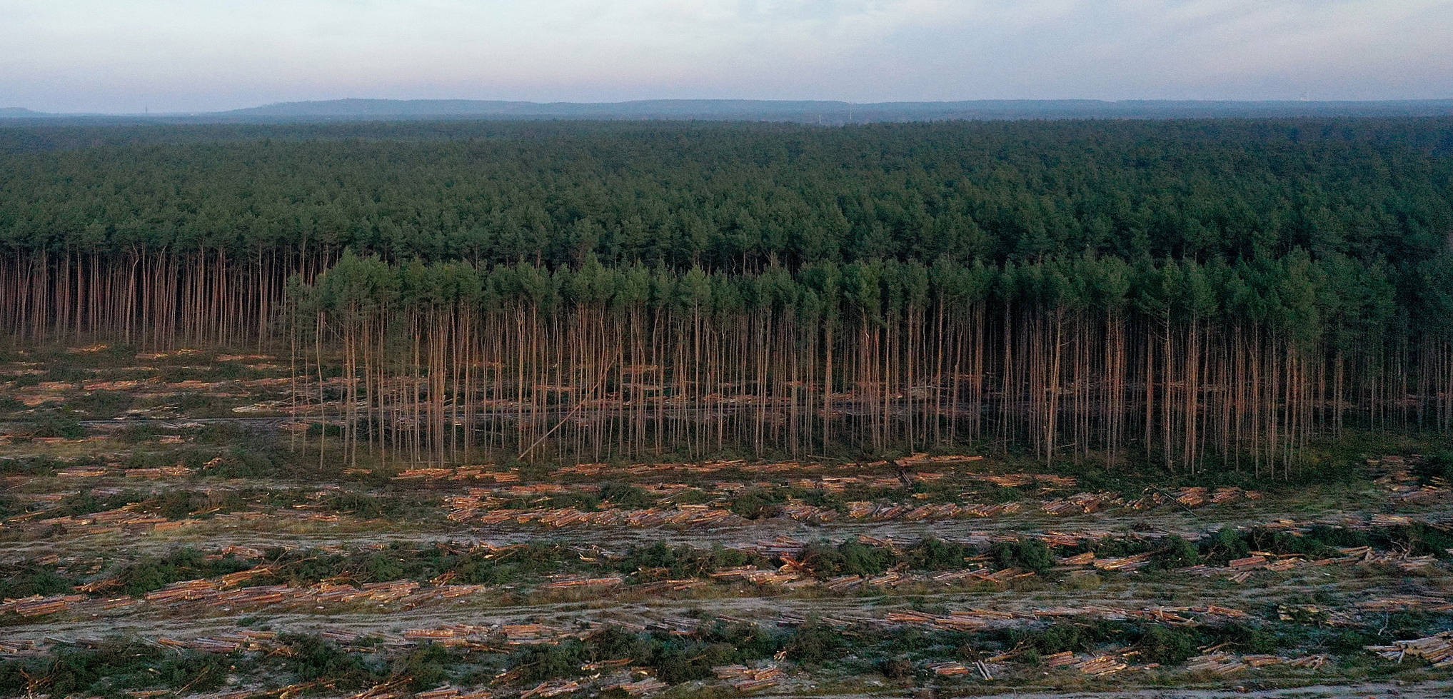 全球气候资讯｜4月全球前沿气候科学研究梳理 xgxx0oOOssDu06wXjpg