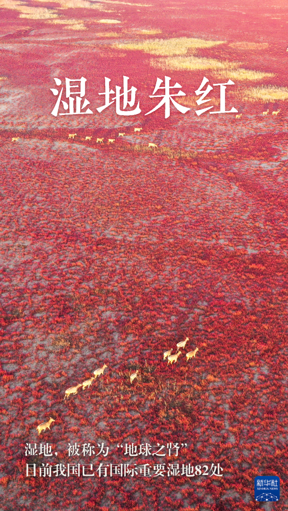 世界地球日丨五彩的她 u7gWT0PTPK0okjoBjpg