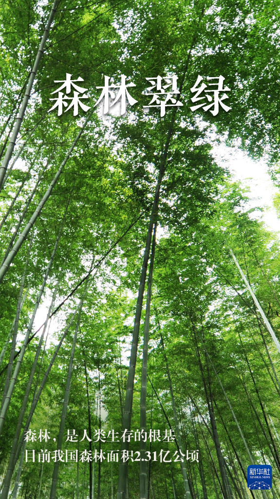 世界地球日丨五彩的她 l97i74a4IFMhvk4ajpg