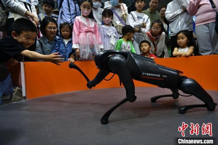 遇见福建：“五一”假期首日畅游数字“海洋” wMYopaWwBwka799cjpg