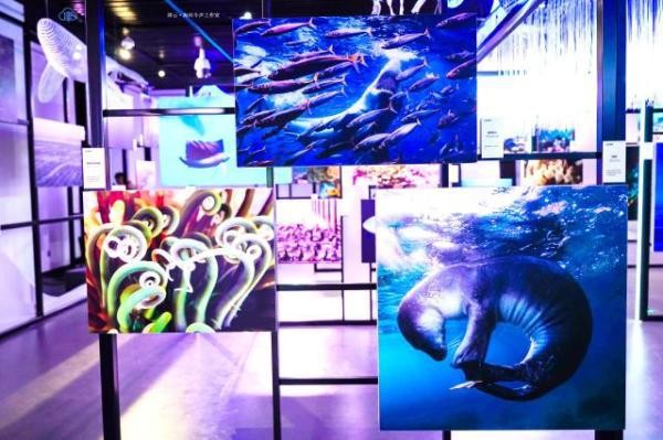 开启奇妙之旅 守护蓝色星球 国家海洋博物馆举办公益影像展 lOB0uIjO2UoU25rUjpg