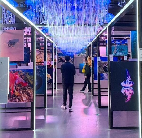 开启奇妙之旅 守护蓝色星球 国家海洋博物馆举办公益影像展 hdi5HAJ8tDFca398jpg