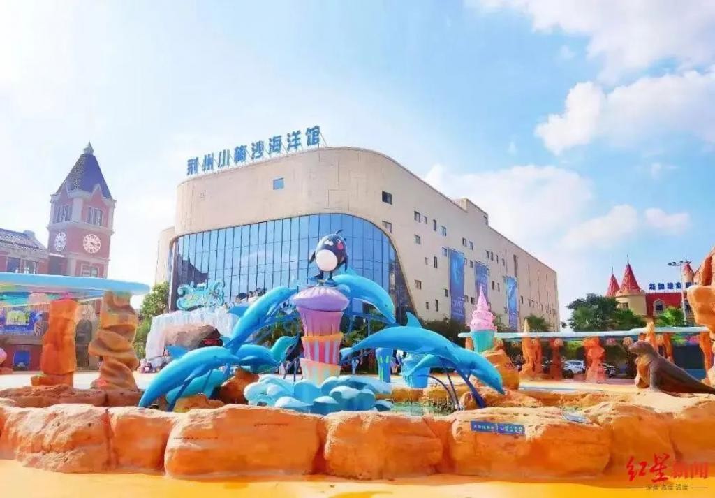 又一起!确认不幸死亡,粉丝:非常痛心 B8oMoNUO88oKMQaLjpg