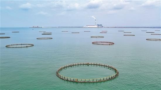 如何做好海洋强省这篇大文章?院士“天团”来支招! Doz7JPXuHLLGAHAPjpg