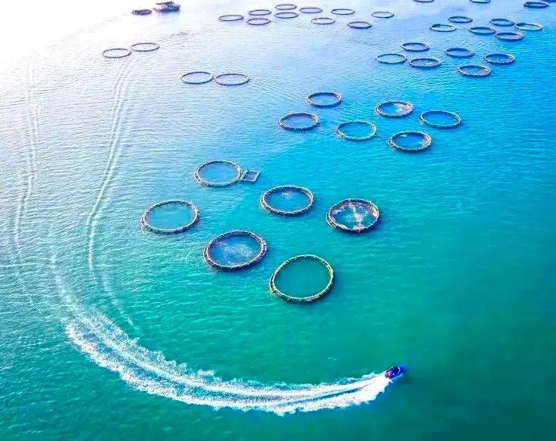 湛江这个满满科技感的“巨无霸”投用!现代化海洋牧场活动月启动 mHq4z7jqoQ7nf0Nxjpg