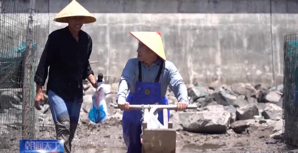 红树林让滩涂美了，村民富了 gdmr4Ds6MMJc39JDjpg