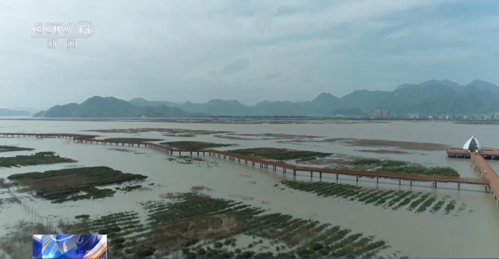 红树林让滩涂美了，村民富了 JwUq3iWQrwqfk0w0jpg