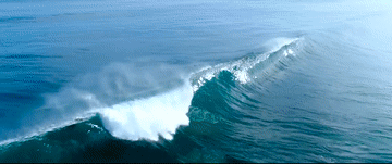 微视频｜海洋之声 dxWBFlcCVxjuxxsqjpg
