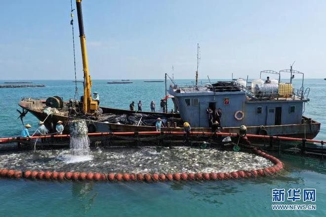 聚焦高质量发展丨广东：向海图强 激发蓝色经济新动能 VGaThkR6kc6xtC0djpg