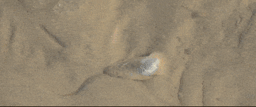 微视频｜海洋之声 WGXis1GS9CgCg70Fjpg