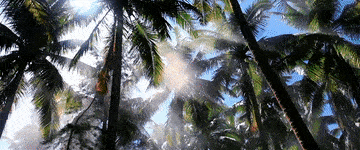 微视频｜海洋之声 dpSpf5v1r582858Jjpg