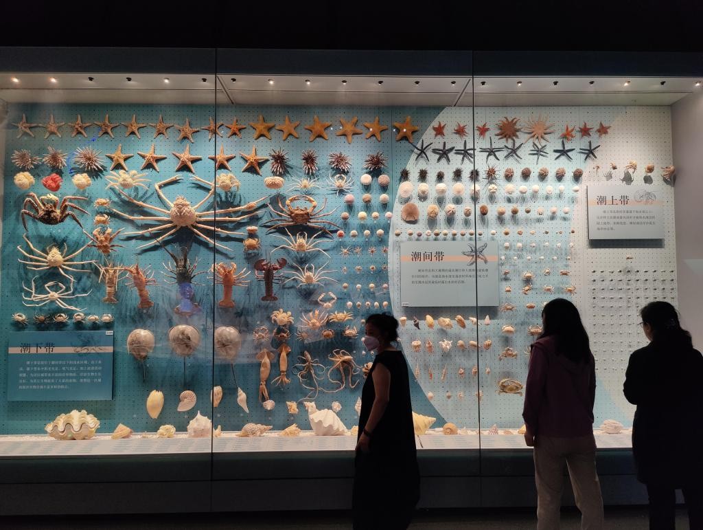 这座“海上故宫”里有不少广东海洋故事 blxrLXkLU1Lm61V2jpg