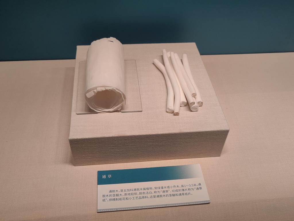 这座“海上故宫”里有不少广东海洋故事 Eux2yzOo3l72oU33jpg