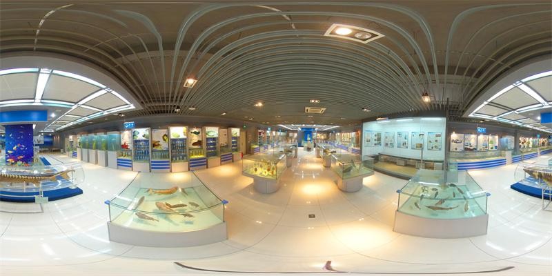 2023，锚定海大！海宝海薇带你 VR 逛校园 d4w47WOFoTMCFFHgjpg