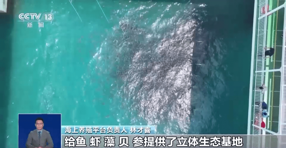 向海洋要食物，“中国饭碗”会有多丰富？建设“蓝色粮仓”我们这么干→ WD09J29N6Y99n2e2jpg