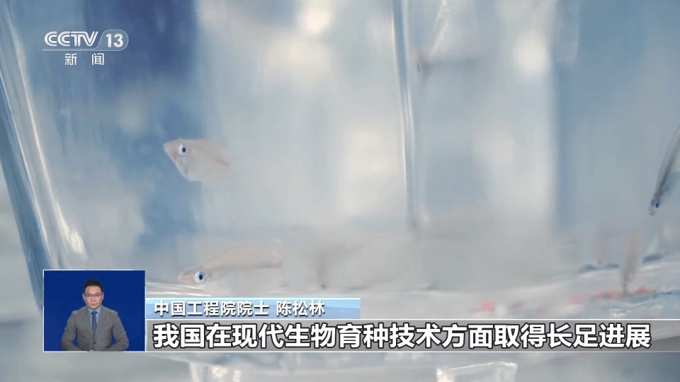 向海洋要食物，“中国饭碗”会有多丰富？建设“蓝色粮仓”我们这么干→ LMvGKVg999boGEnnjpg